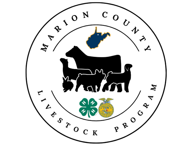 Logo for 2026 Mannington District Fair 4-H and FFA Livestock Show and Sale