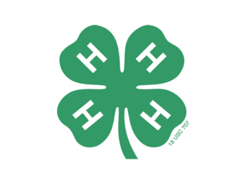 Logo for 2026 Morgan County 4-H Fair