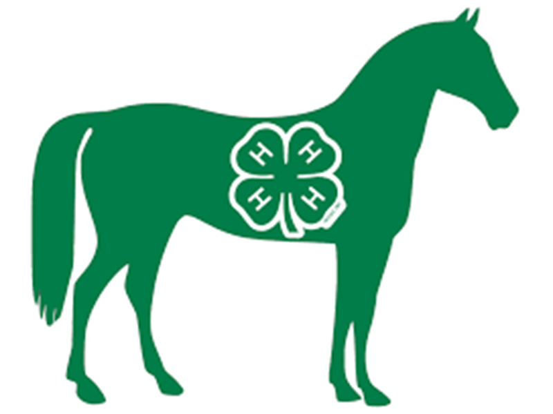 Logo for 2026 Kingsbury County Horse Show